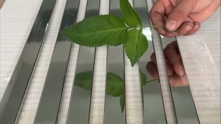 teste de reflexão de tubo retangular de aço inoxidável do espelho do SUS 304 8K de 30x10mm